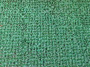 プラスチックにしか見えない人工芝