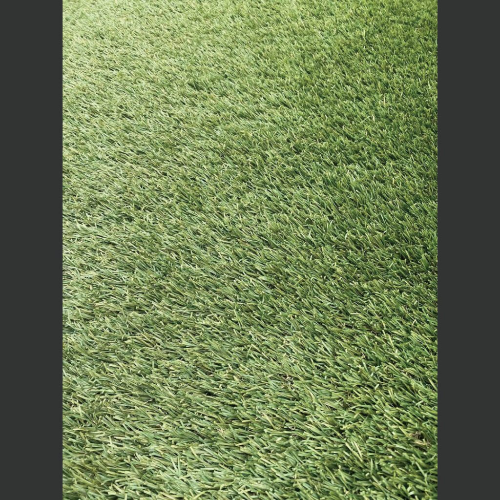 10年後の人工芝アップ