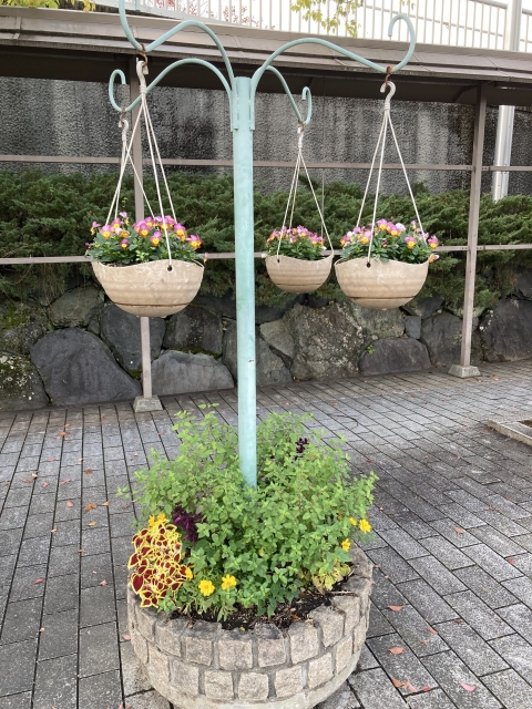 ハンギング植木鉢