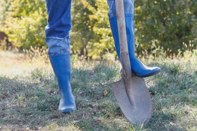 大きなスコップ