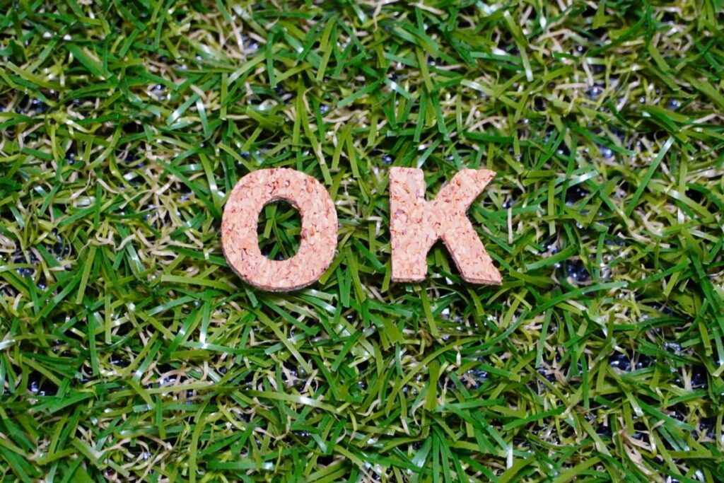 室内で人工芝が使える