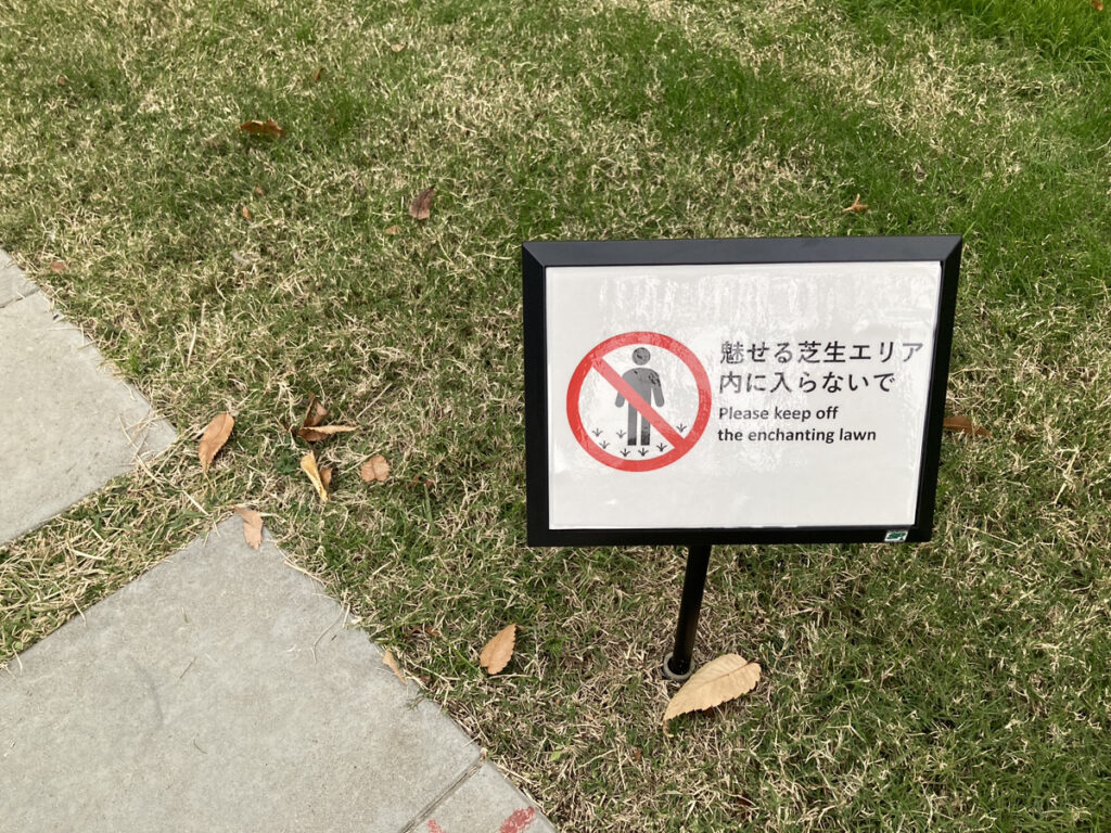 冬枯れの人工芝