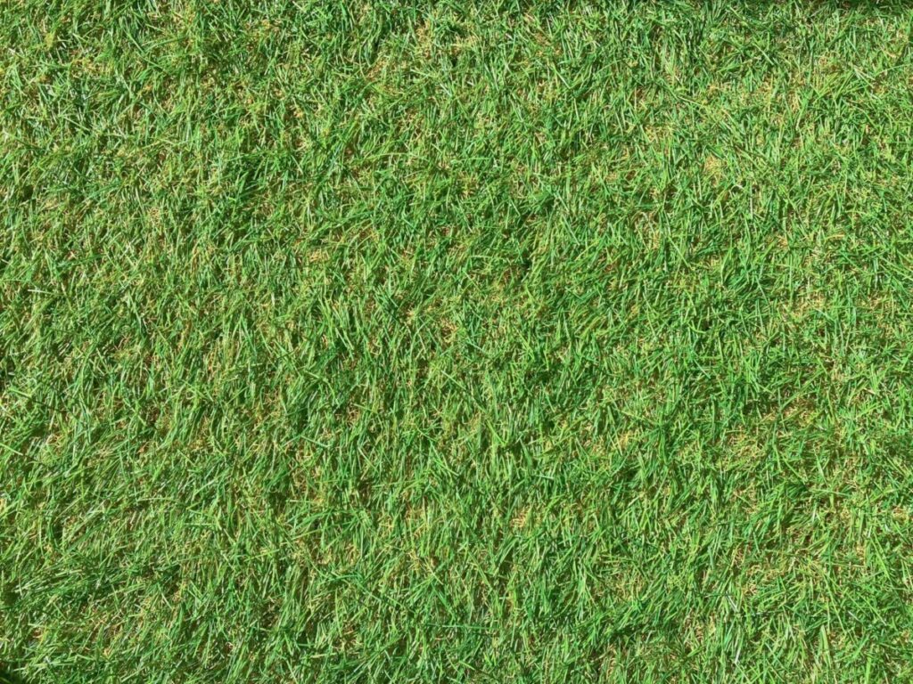 おしゃれな庭の人工芝