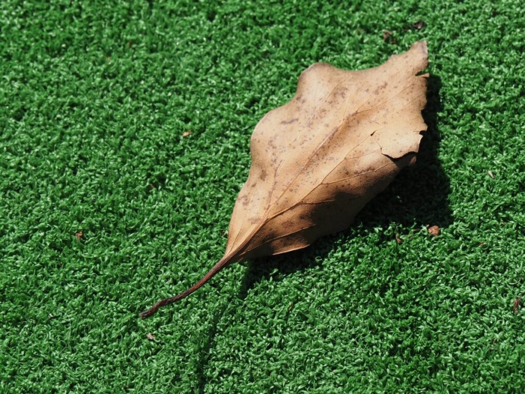 人工芝が楽な理由