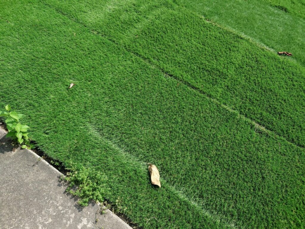 人工芝の継ぎ目が目立つ原因