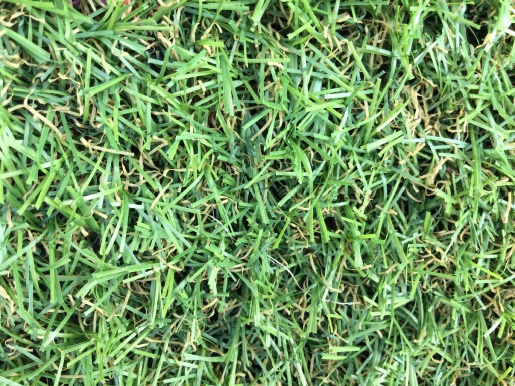 長持ちな人工芝