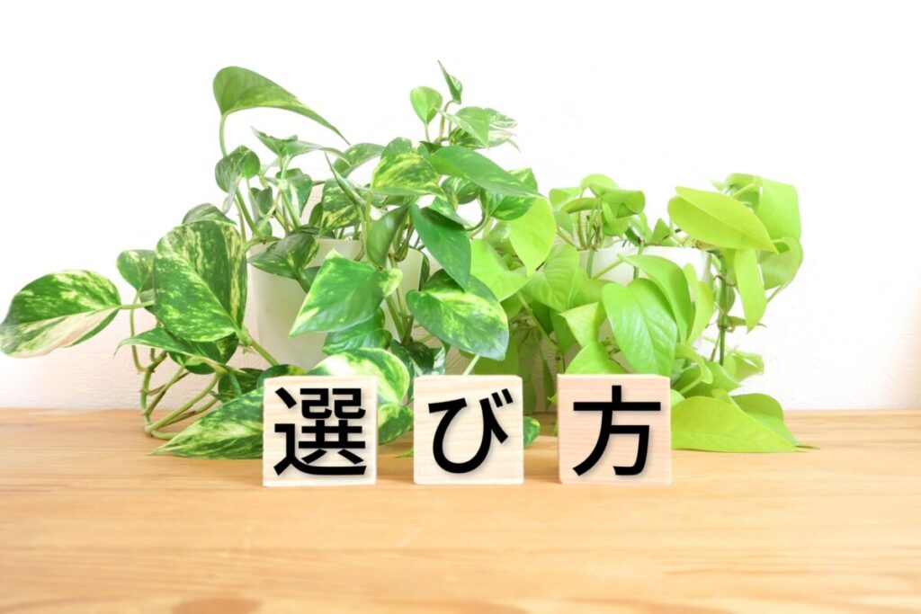 駐車場におすすめの人工芝