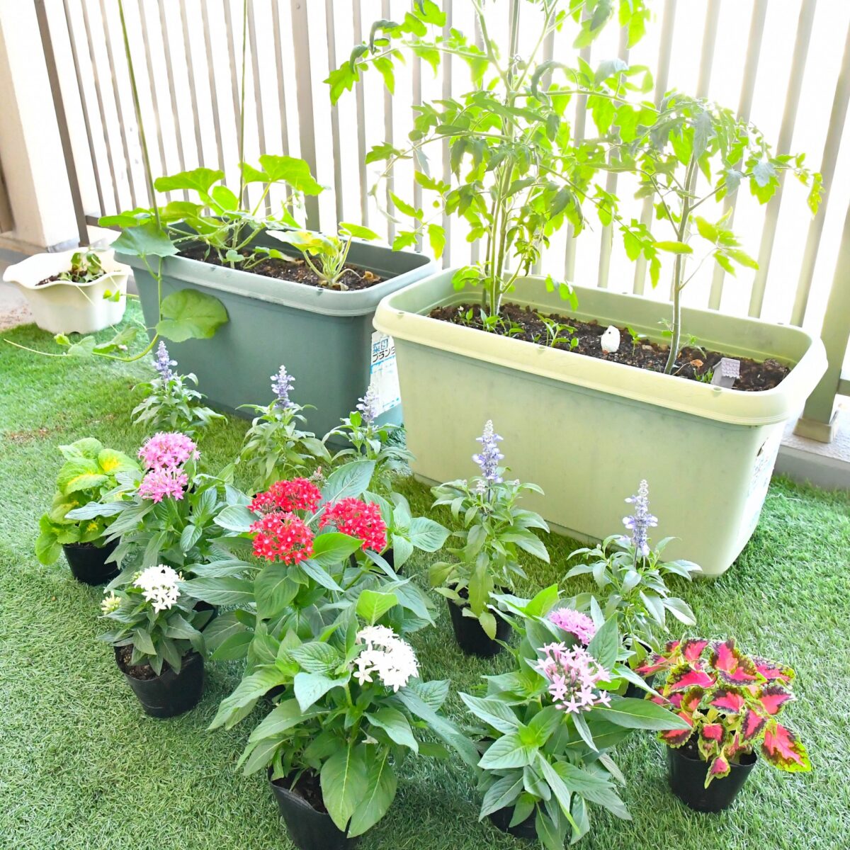 人工芝を賃貸に敷くこと