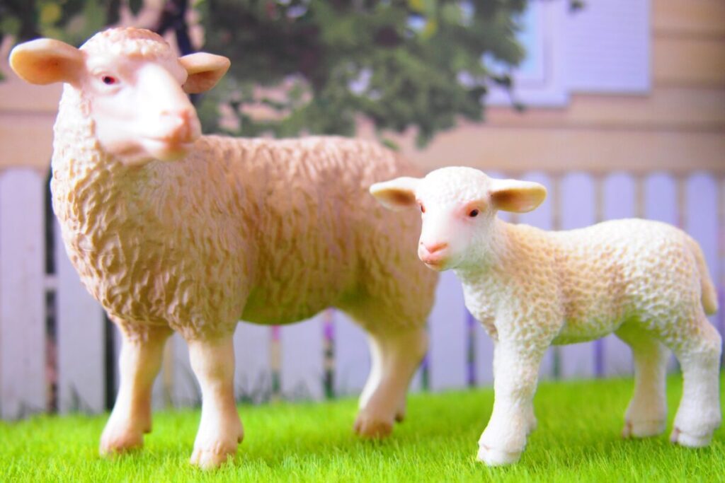 人工芝の意外な使い道