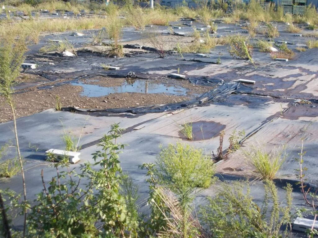 防草シートのデメリット