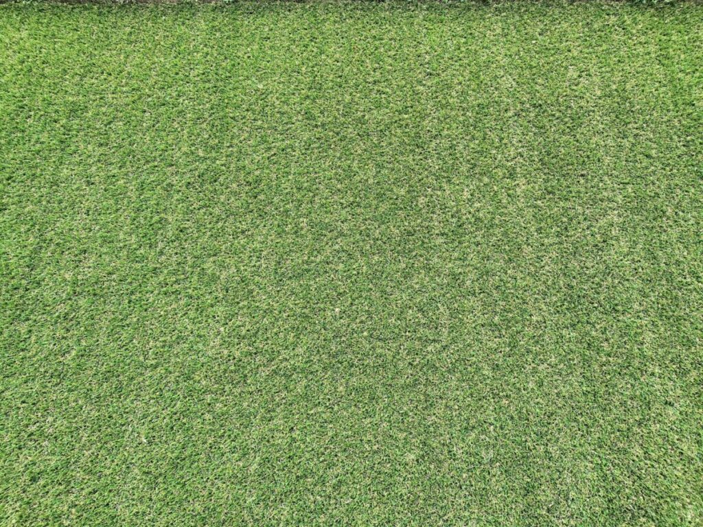 人工芝の色あせの原因