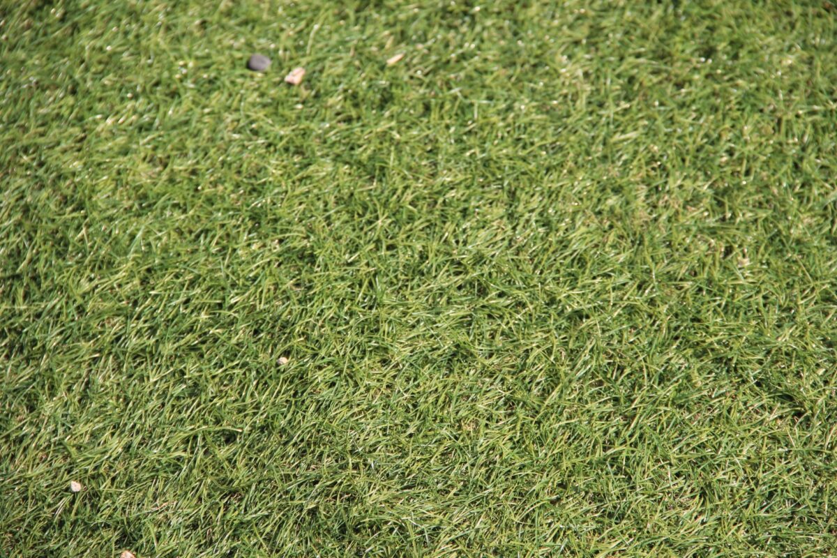 ロールタイプの人工芝