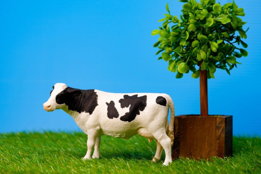 人工芝のインテリア