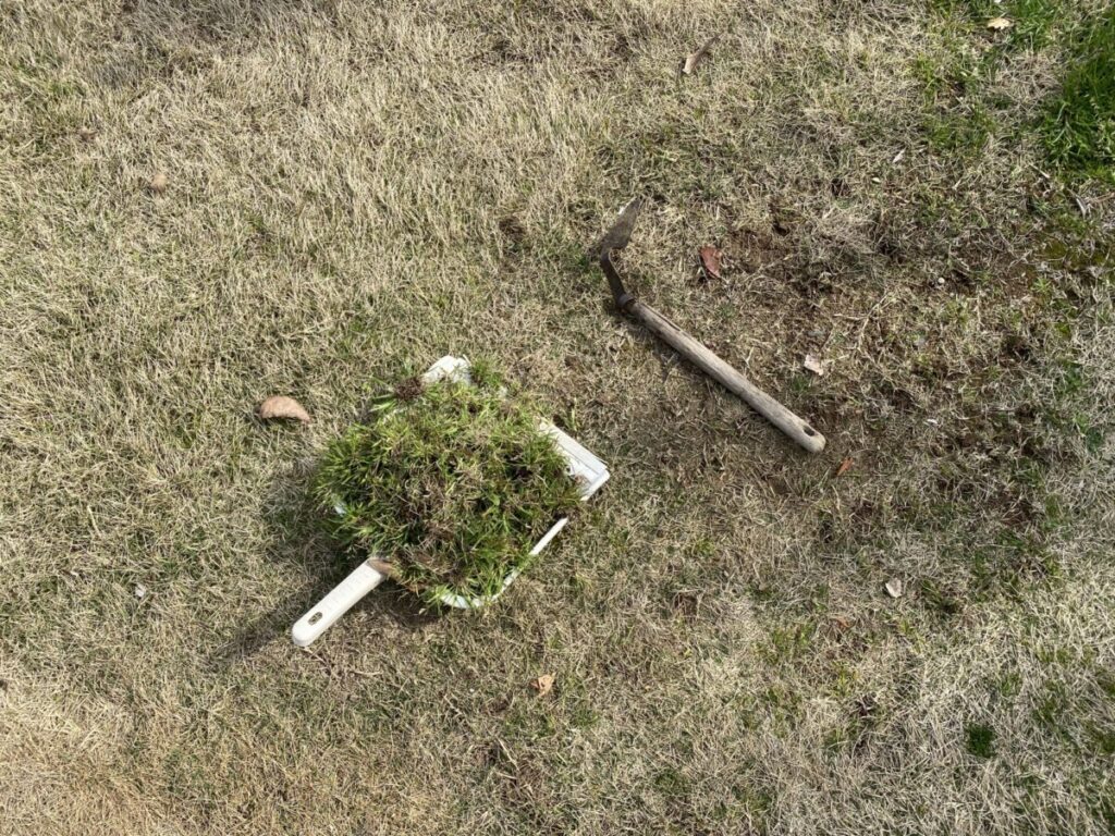 雑草を取り除く方法