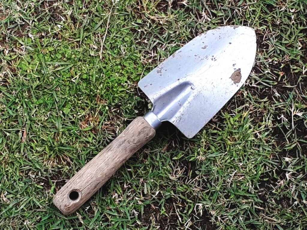 芝生が根付かない対処法