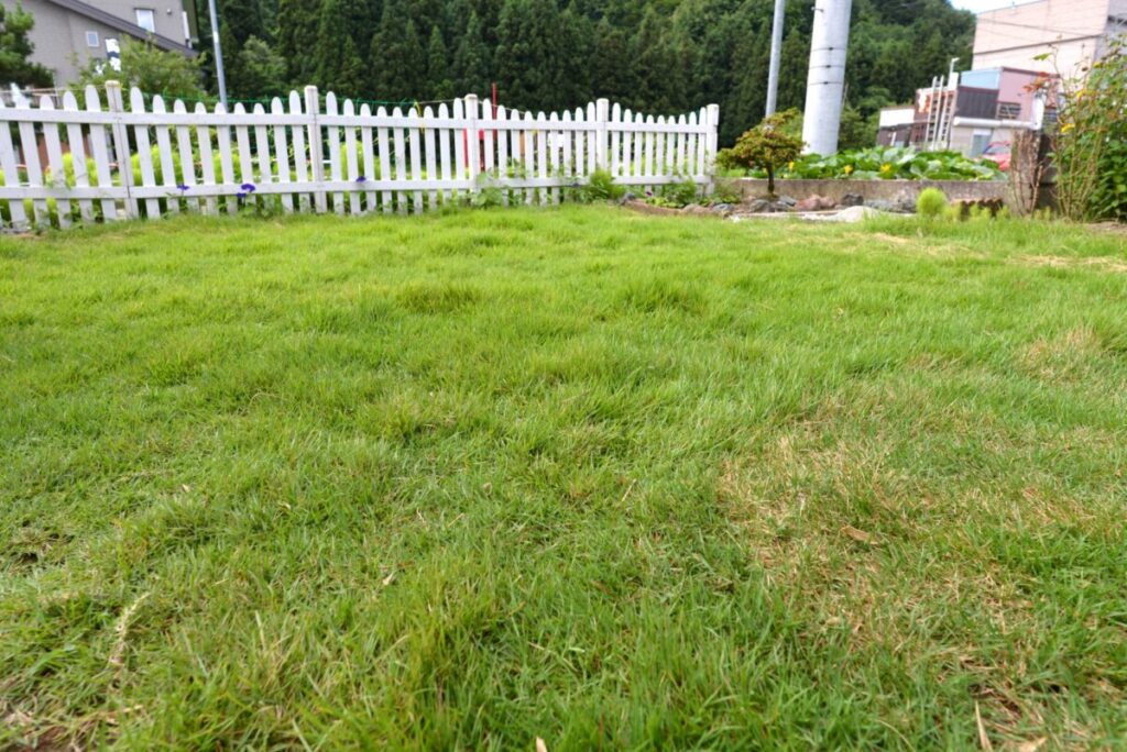 芝 伸びすぎ