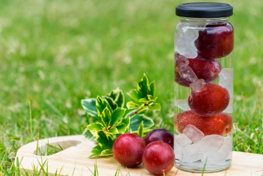 人工芝とジュース