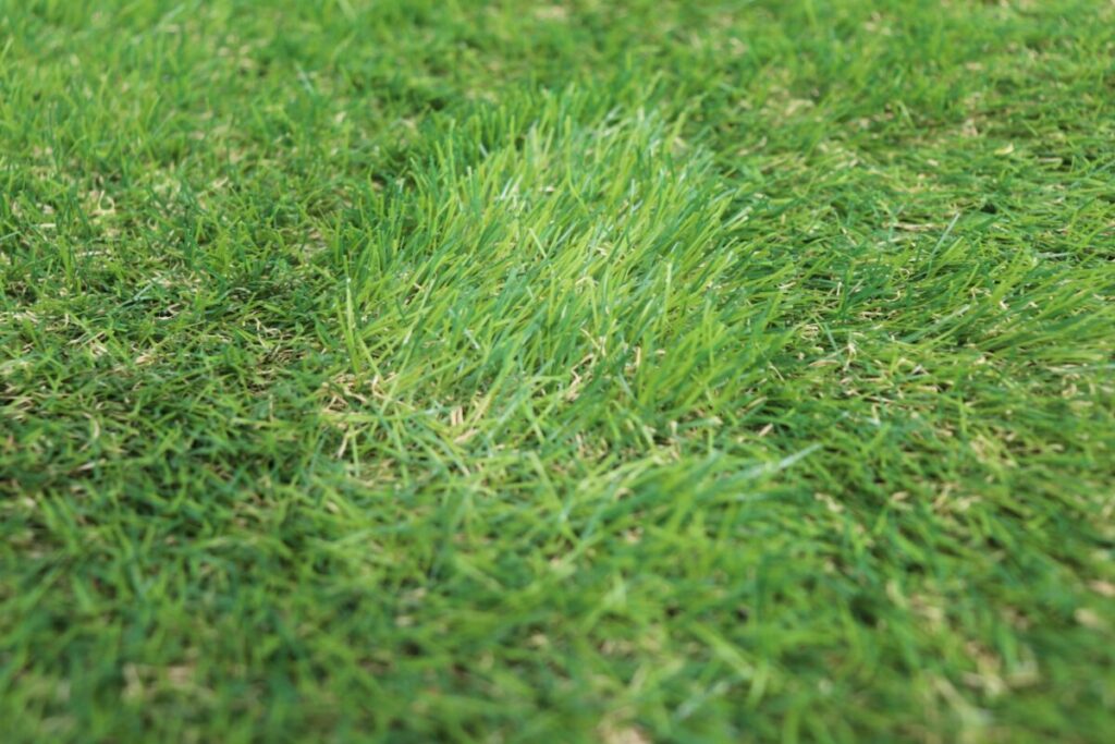 部分補修の注意点