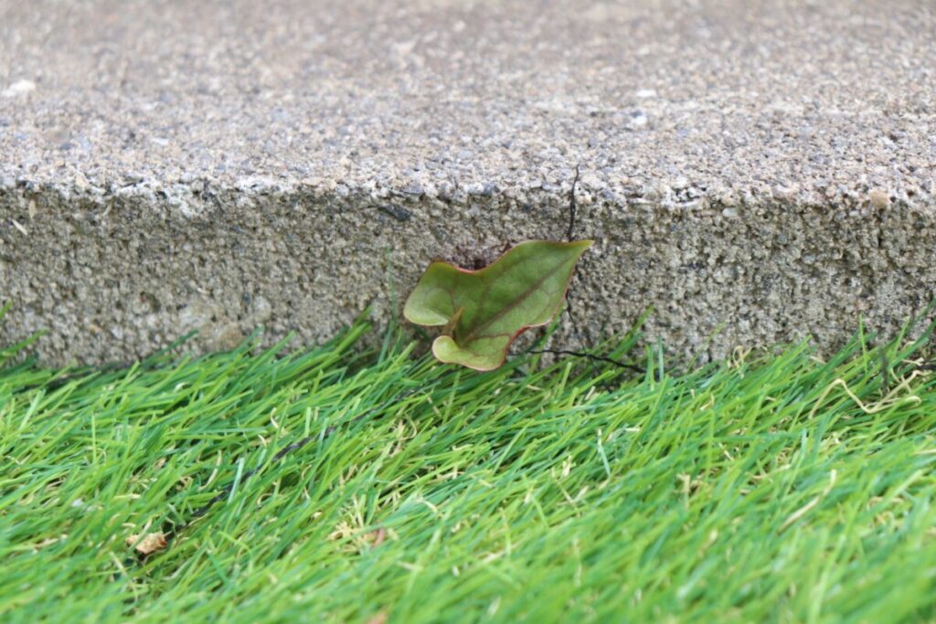 人工芝の端の処理