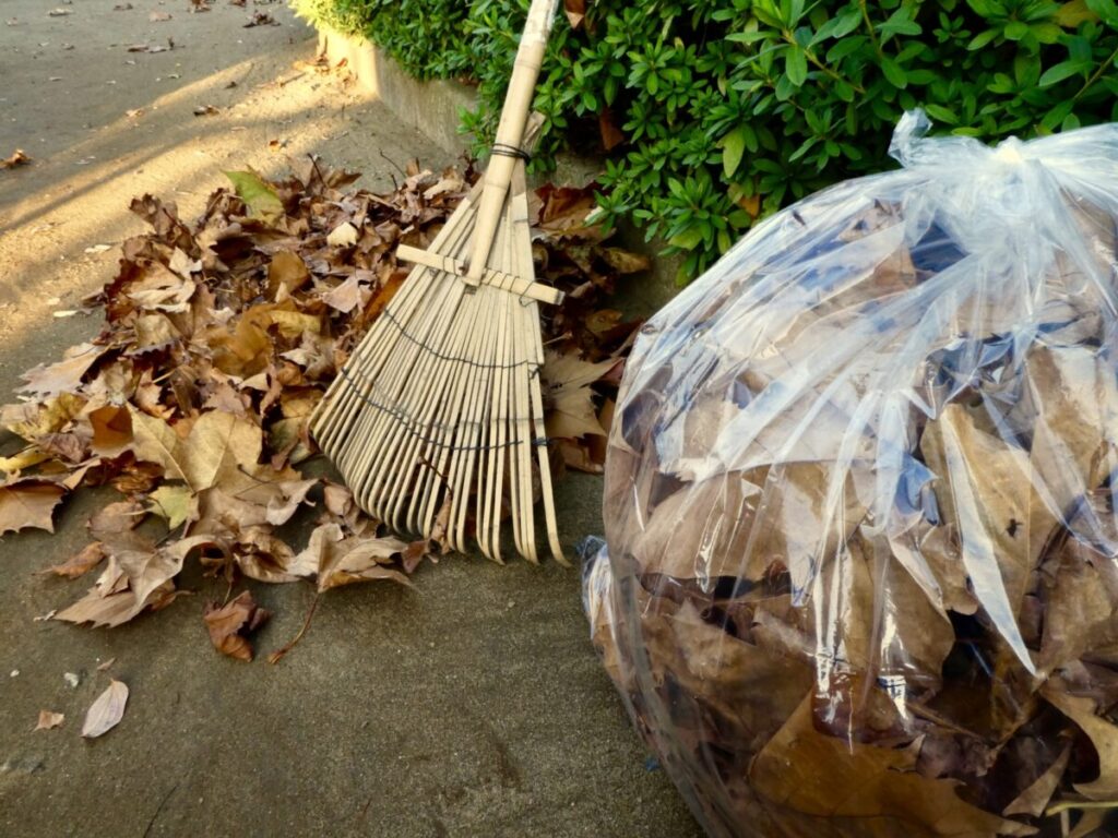 落ち葉の処理方法