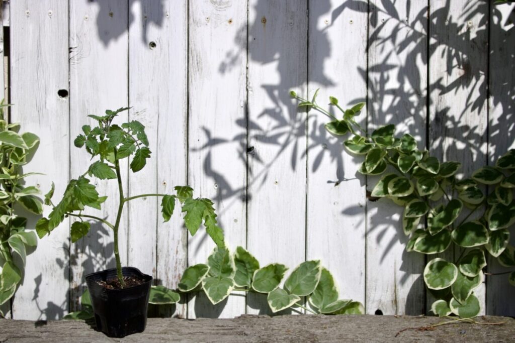 庭のDIYを安くするアイデア