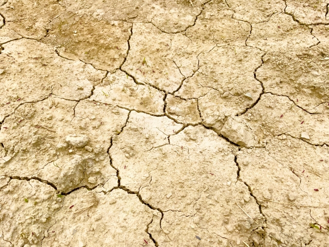 経年劣化で割れやすい