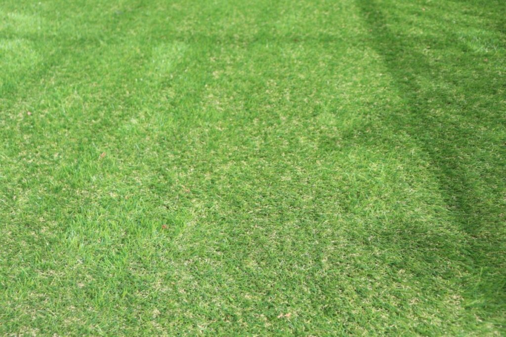 人工芝のメリットデメリット