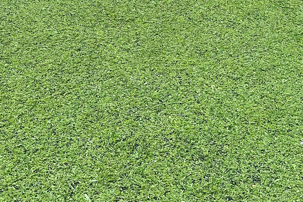 ゴムチップの発がん性