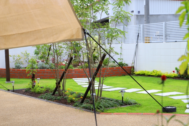 シンボルツリー