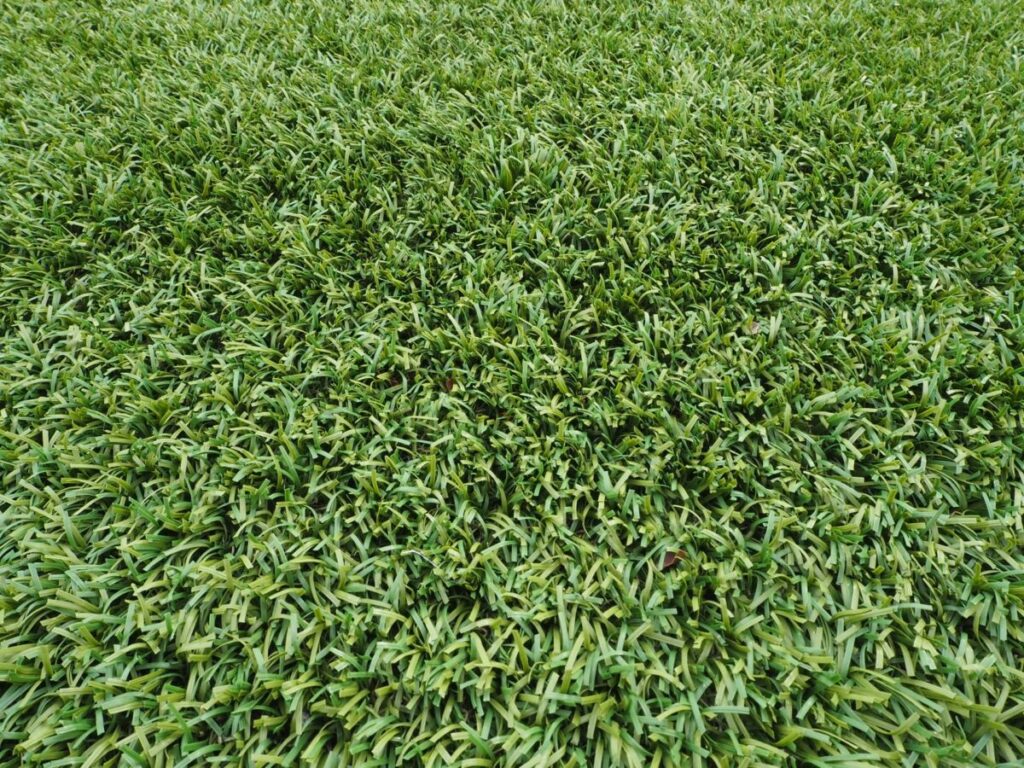 外構には人工芝がおすすめ