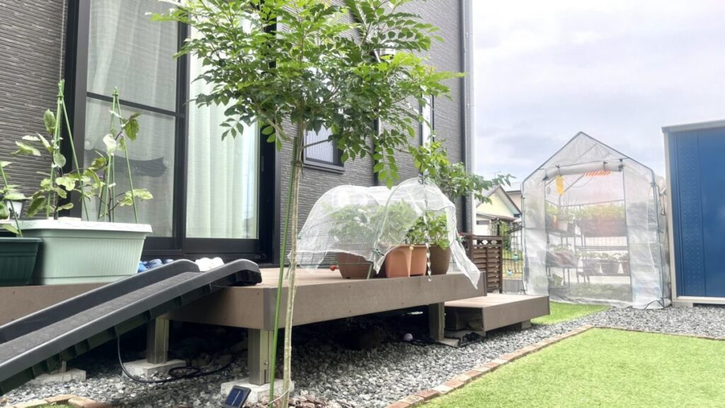 汚いウッドデッキの原因