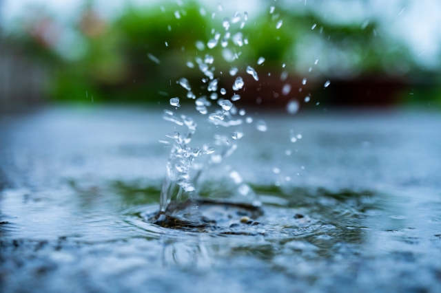 水はけの良さを確認