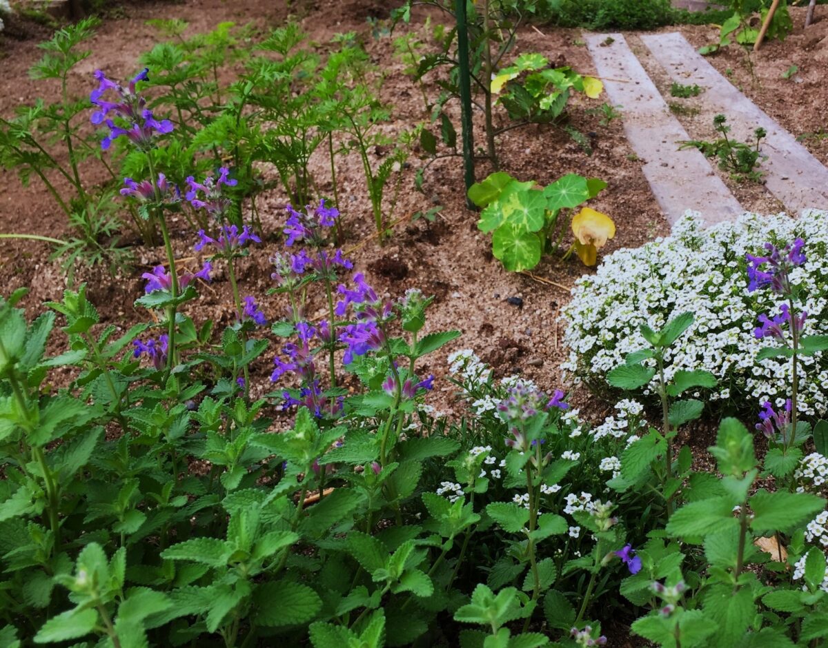 ポタジェガーデンの魅力