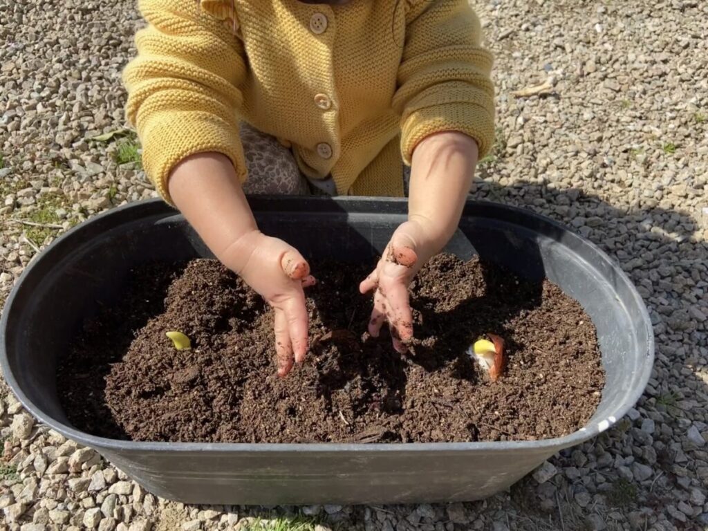 プランターの土再生