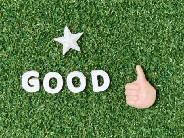 ガーデニング初心者が地植えするのにおすすめの植物