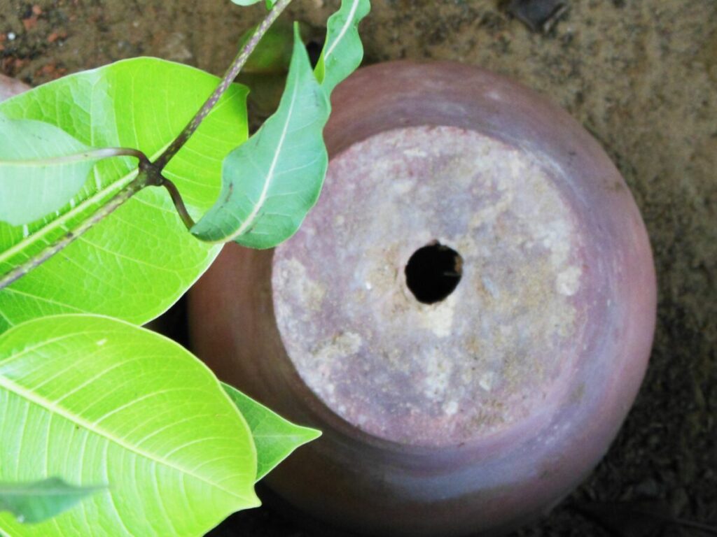 プランターの選び方