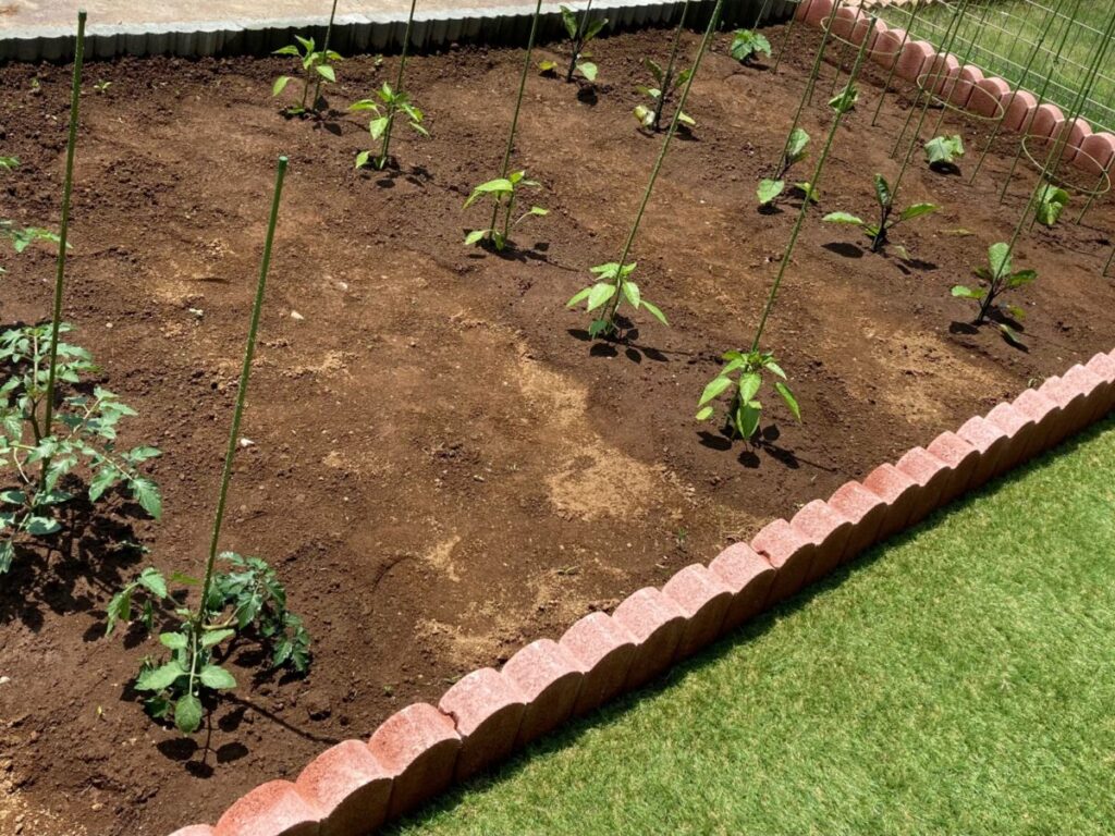 新築の庭の家庭菜園