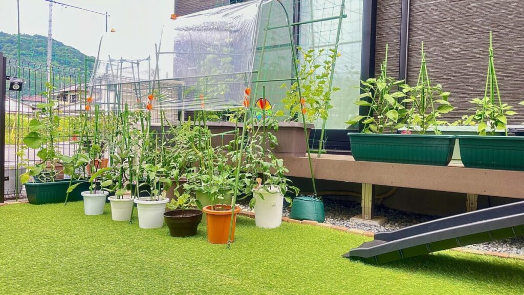 人工芝と家庭菜園