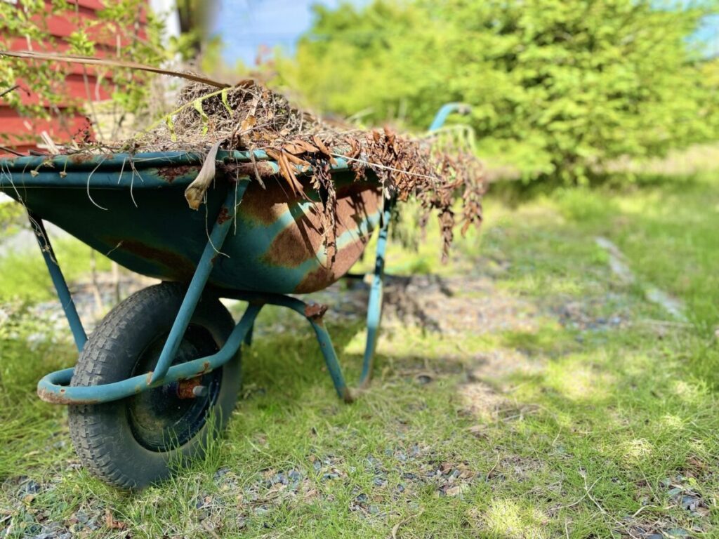 雑草取りの時期