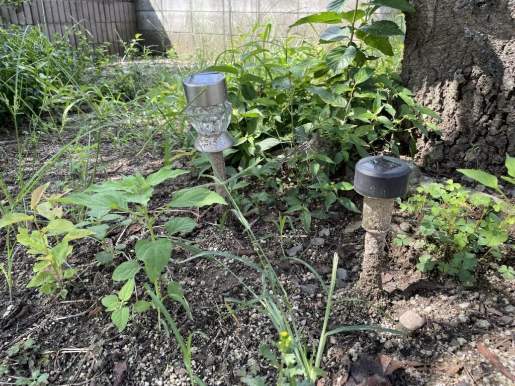 土の庭の問題点