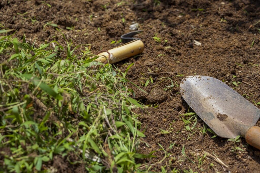 雑草取り　コツ