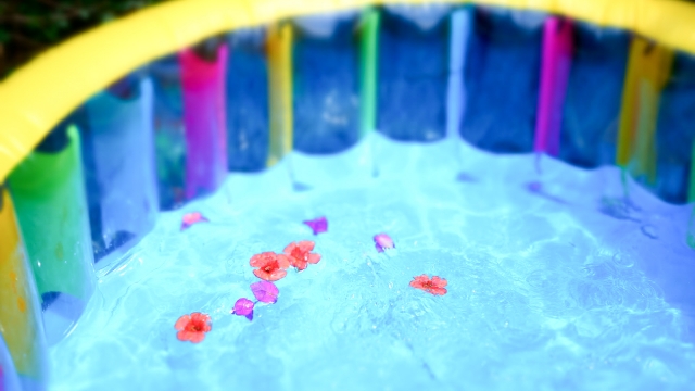 水遊び用のアイテム