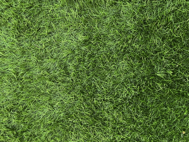 クッション性が高まり安全