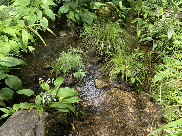 せせらぎを作る