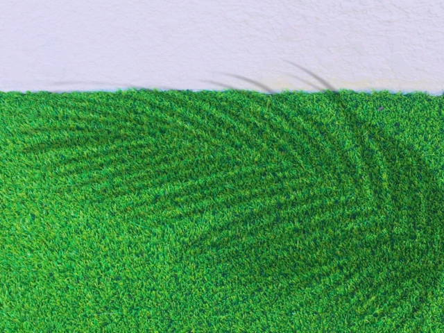 土と日当たりがあればできなくはないが基本的に難しい