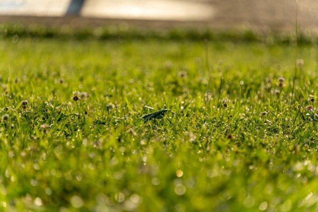 四季折々の変化を楽しめる