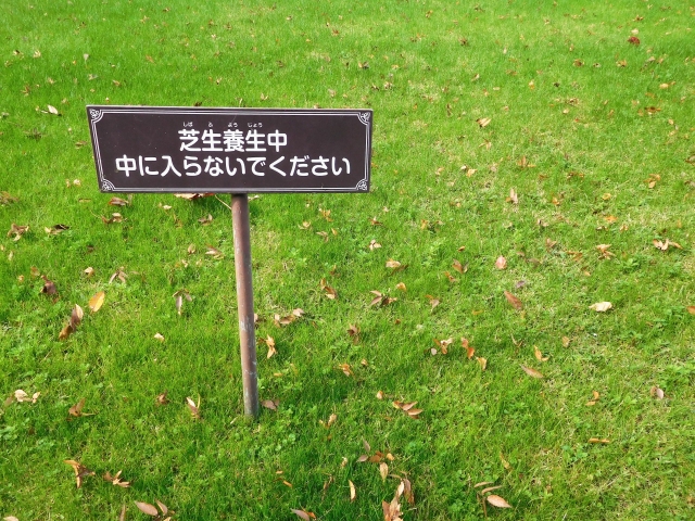 芝生の養生とは?必要な理由を紹介