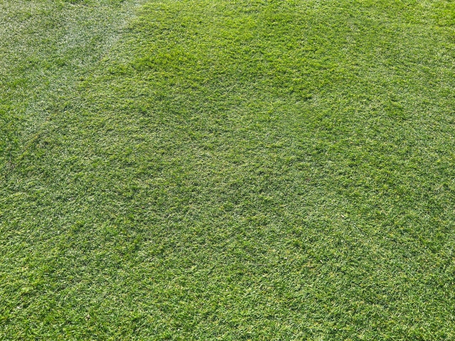 人工芝の向きに注意して切る