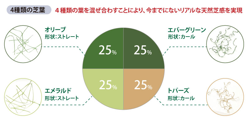 ４色２種類の芝葉
