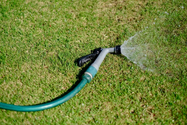 水撒きをする